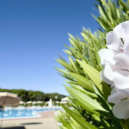 Isa-Apartments 4 Beds In Residence With Swimming-Pool In San Vincenzo, Just 600 Meters From The Sea Екстериор снимка